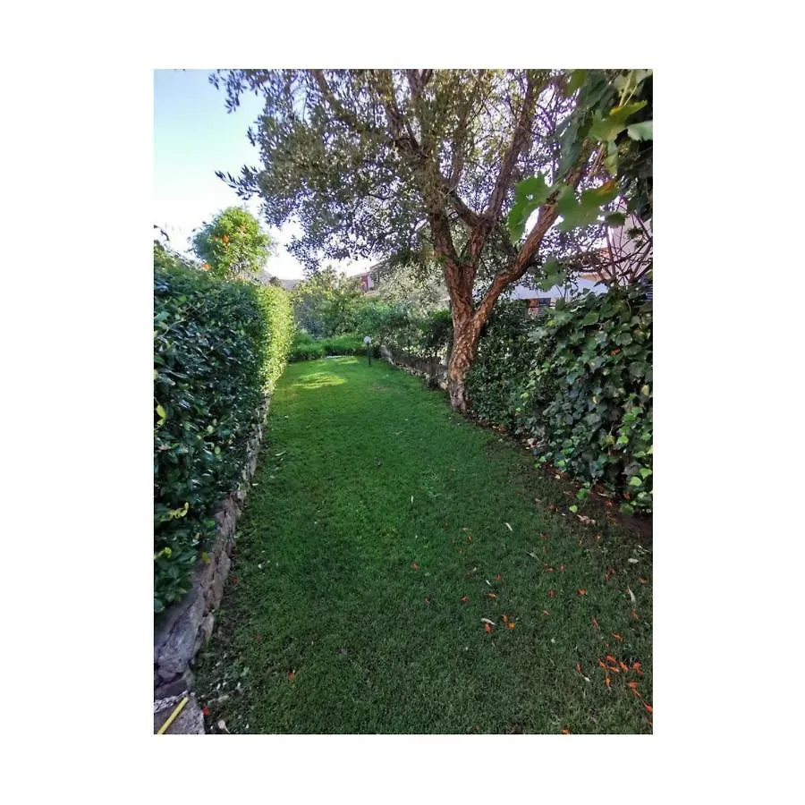 Alzoni Apartment San Teodoro  Italy